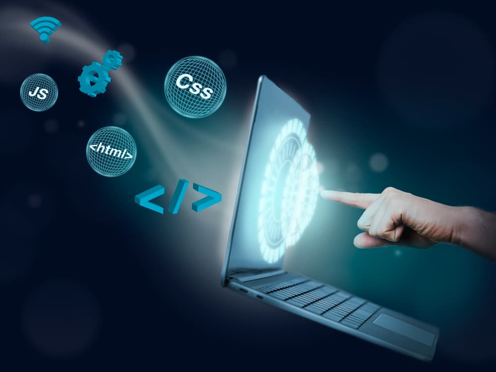 Web Design & Development